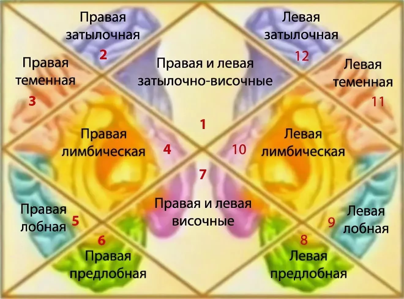 Определить Расположение Дома По Сторонам Гороскоп