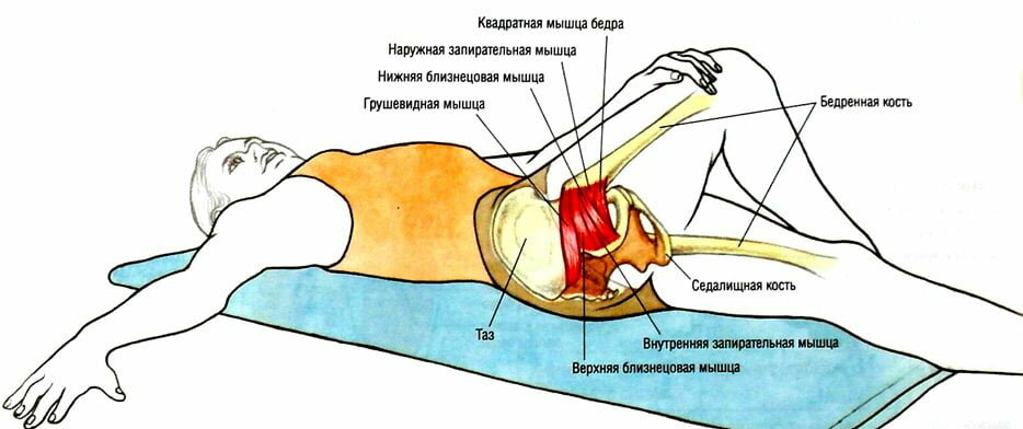 Боли В Паху Во Время Секса