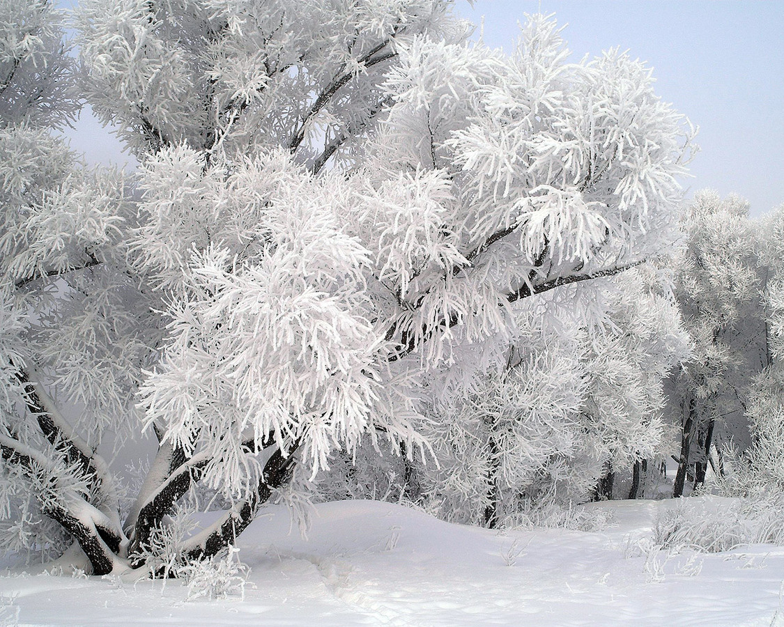 Дана - Пришла зима - 65 фото
