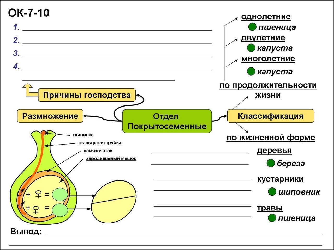 Конспект по воде биология 6 класс