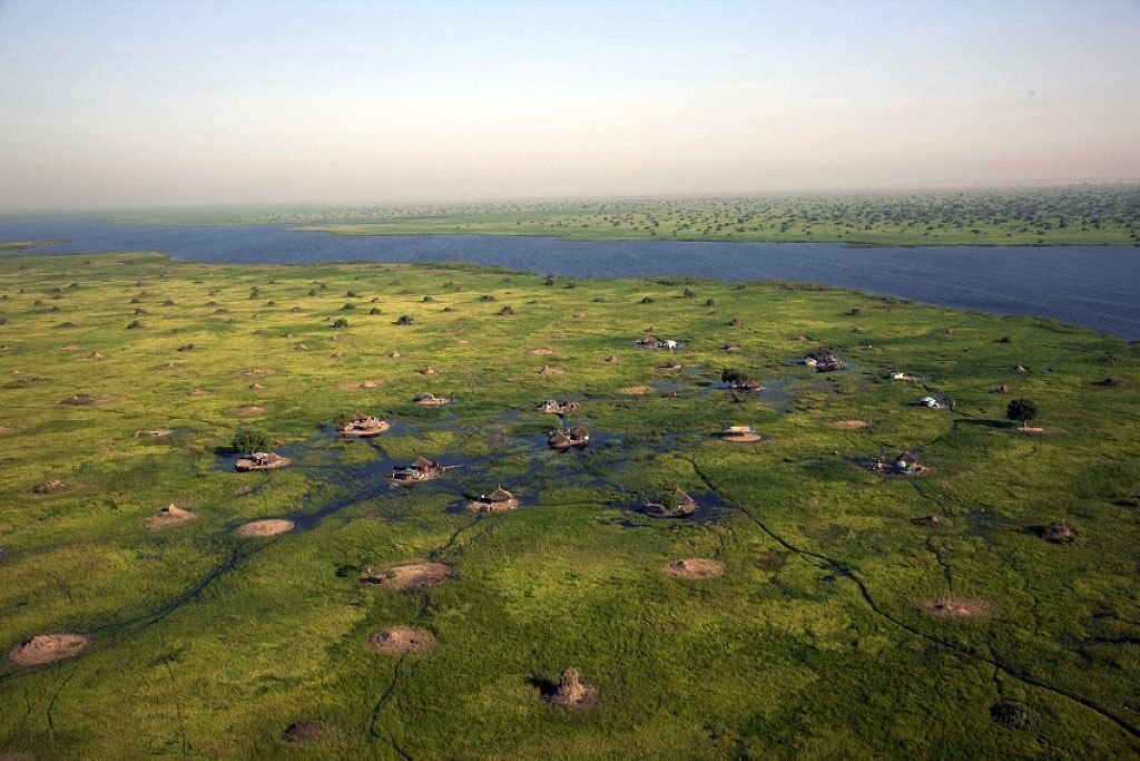 Крупнейшее болото европы. Болота сюд, Южный Судан. Болото судд. Болото судд в Южном Судане. Южный Судан озеро судд.