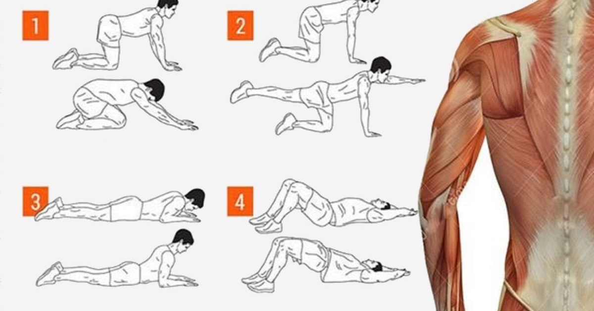 Упражнения для укрепления позвоночника. Укрепление мышц спины. Упражнения на спину в домашних условиях. Упражнения для спины и поясницы для мужчин. Упражнения для поясницы дома для мужчин.