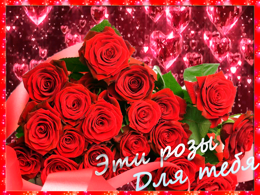 Музыкальное поздравление красивой девушке. Розы для тебя. Букет роз с пожеланиями. Букет роз с днем рождения. Букет роз для тебя.