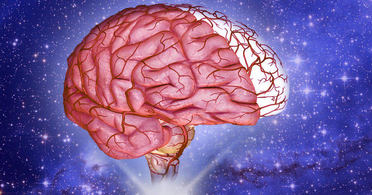 Мозг принимает сигналы. Беспокойный мозг. Мозг человека рисунок. Мозг под защитой. Наш мозг.