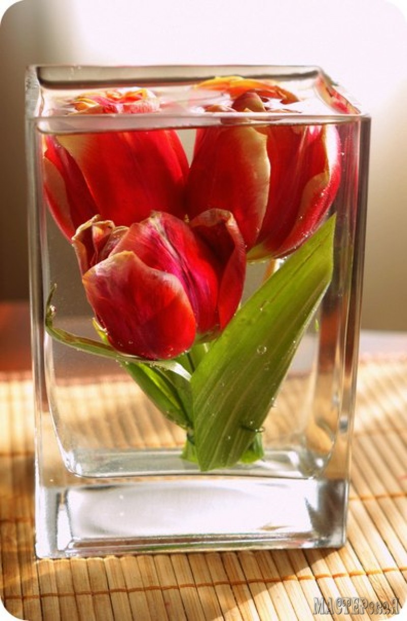 Как сохранить свежие тюльпаны в вазе. Цветы в глицерине. Букеты в глицерине. Тюльпаны в глицерине.