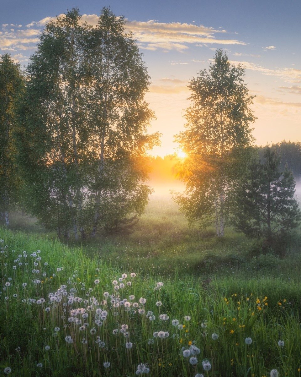 Ясное июньское утро. Утренний пейзаж. Утро природа. Пейзажи России.