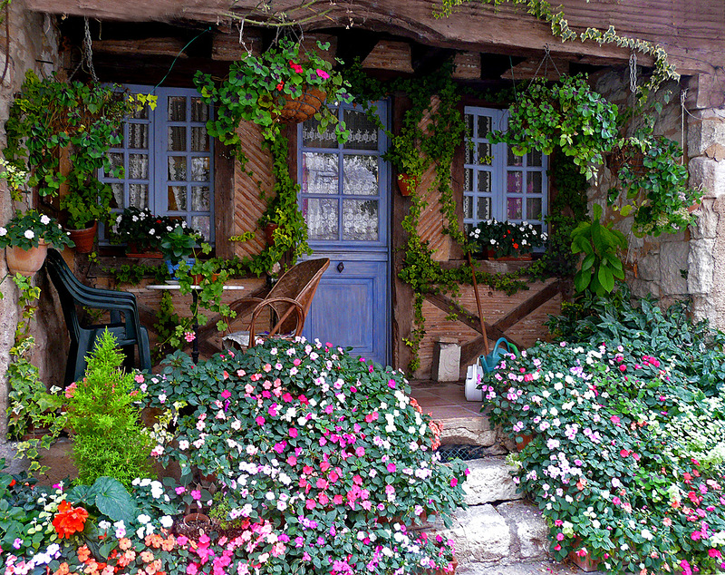Купить дом в цветочном. Деревня двор огород палисадник. Дворик с цветами. Дачный домик в цветах. Домик в саду.