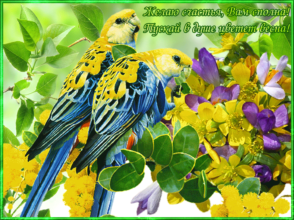 Красивая весенняя открытка с пожеланиями здоровья. Весенние открытки. Доброго дня с птичками. Красивые весенние открытки.