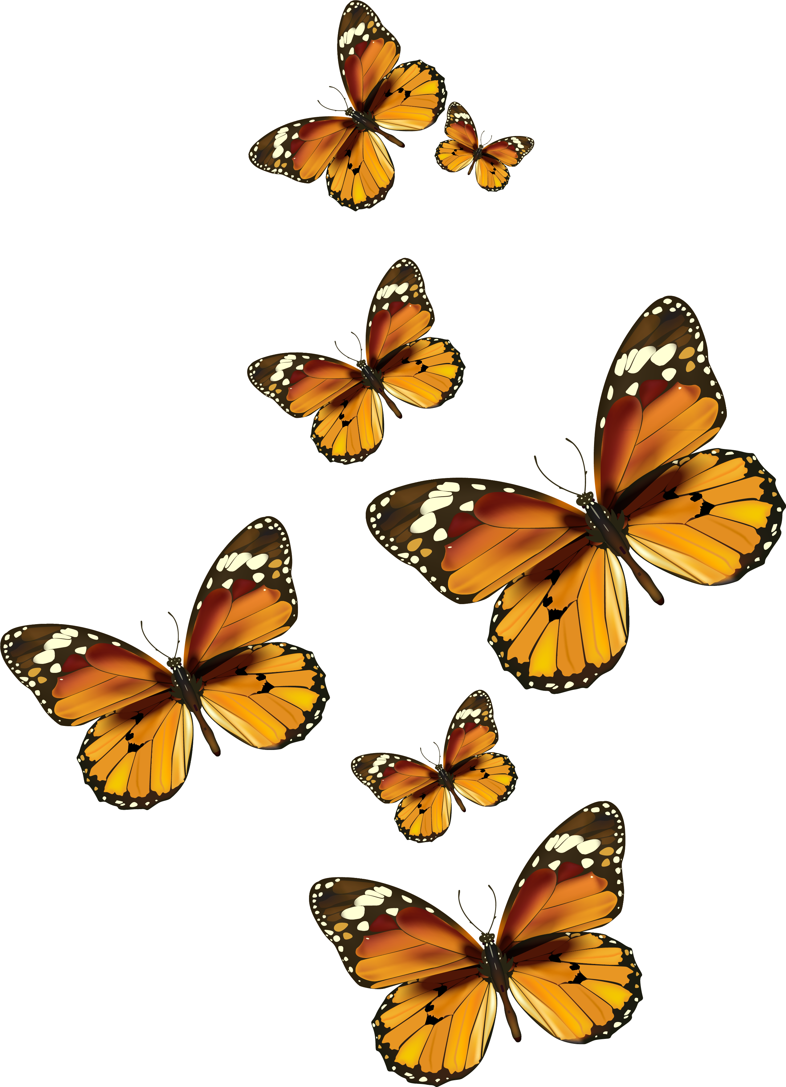 Картинки на прозрачном фоне. Бабочки. Бабочки на просроченном фоне. Бубочка на прозрачном фоне. Бабочки для фотошопа.