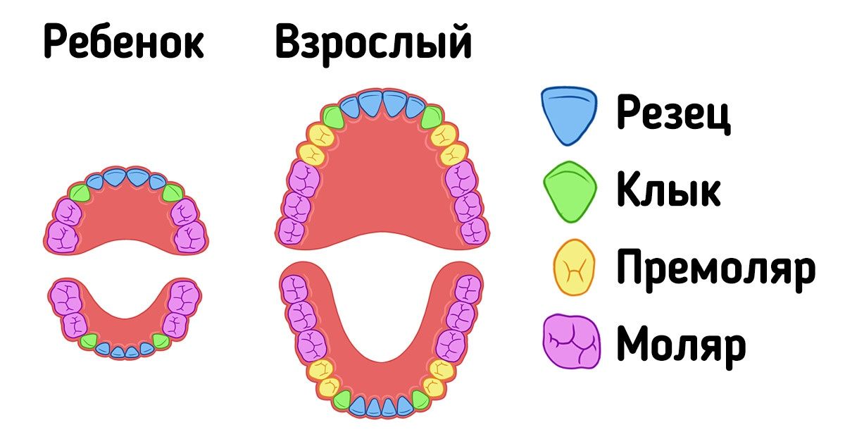 Ковид зубова