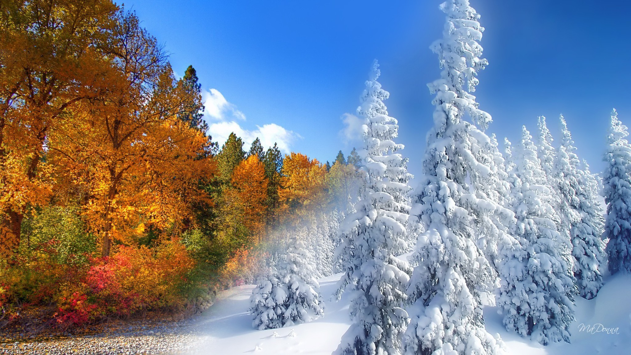Изменения природы в декабре. Осень зима. Зимняя природа. Декабрь природа. Красивая зима.