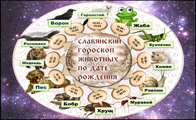 Самый древний славянский гороскоп по дате рождения – так кто же мы та� |  Зодиак | Постила