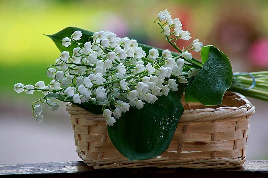 Первого мая цветы песня. Ландыши. Весенний букет. Букет весенних цветов. Цветы Ландыши.
