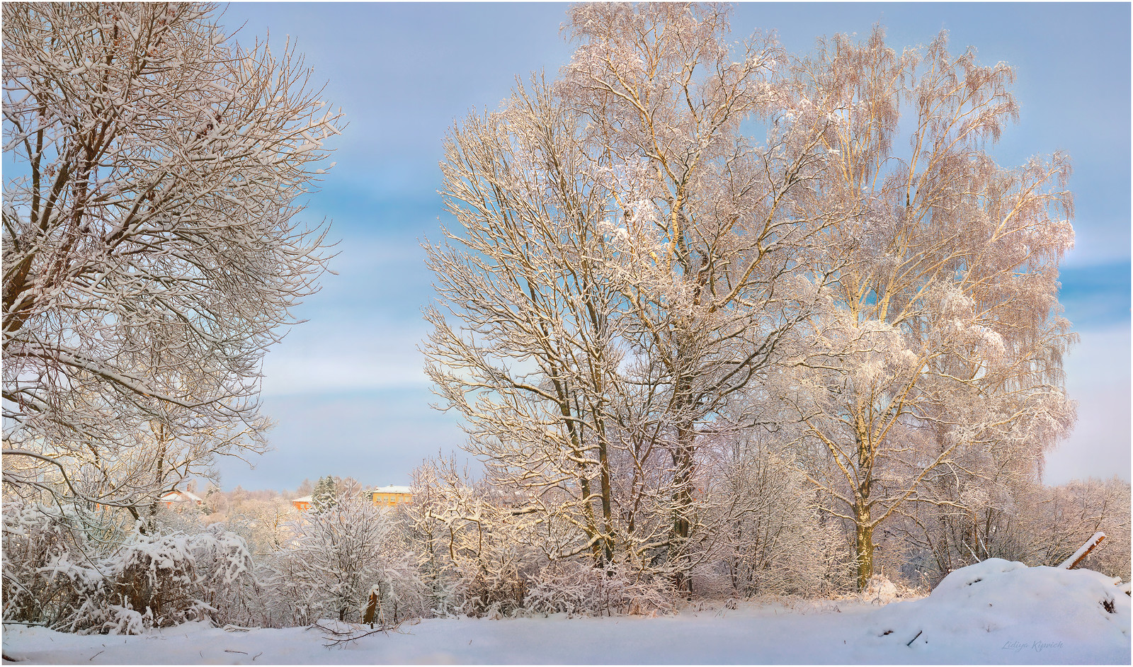 Родной край зимой. Деревья Воронежского края зимой. Фото Арзгира Ставропольского края зимой.