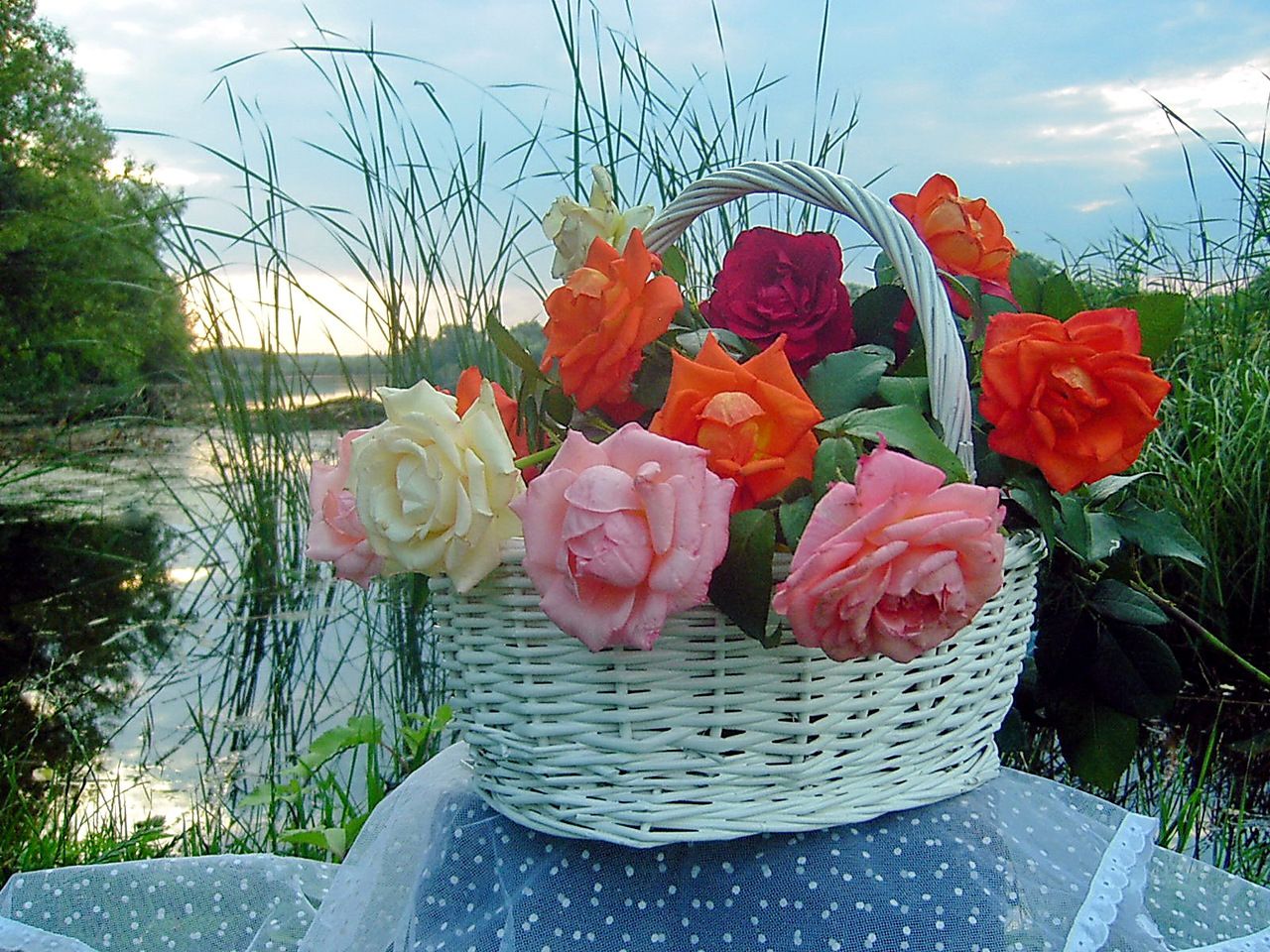 Корзина счастья 3. Цветы настроение в корзинке. Красивый букет цветов для настроения. Доброго дня с цветами в корзинке. Цветы в корзине с пожеланиями.