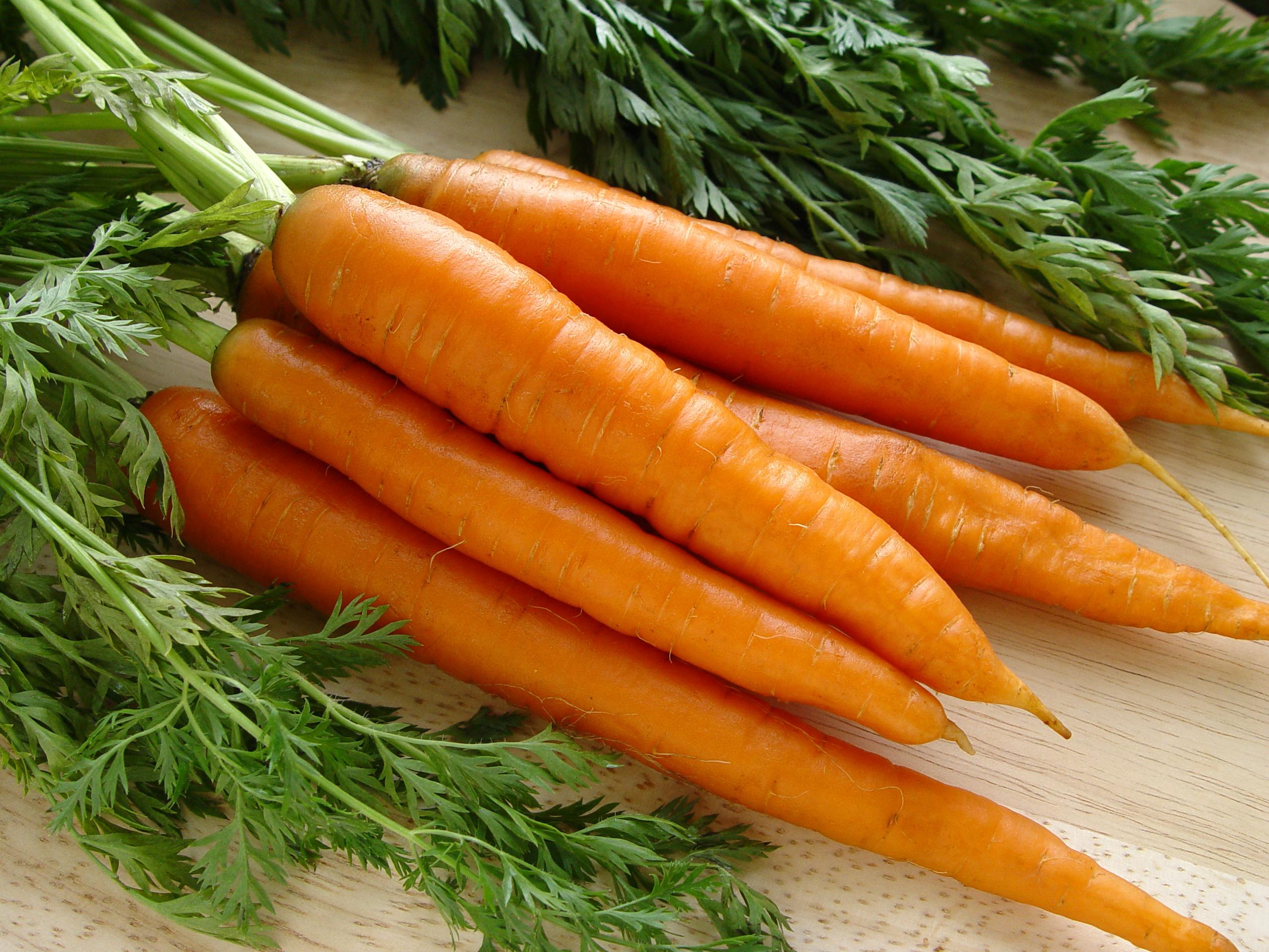Почему нельзя морковь. Морковь Балтимор f1. Морковь Сентябрина 2гр. Морковь Нандрин.