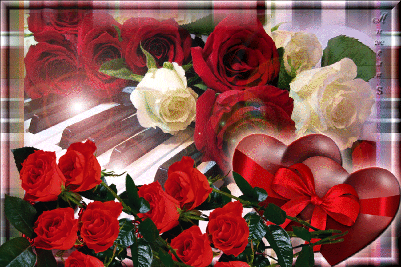 Музыкальная открытка. Музыкальная открытка любимой женщине. Музыкальную открытку с цветами для любимой. Анимации розы для любимой.