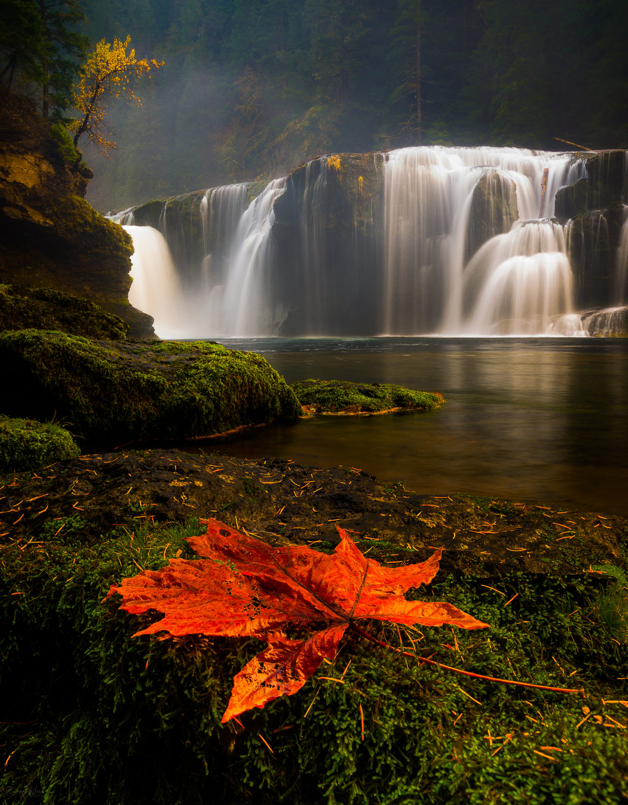 Красиве видео. Красивые водопады. Осенний водопад. Живая природа водопады. Прекрасная природа.