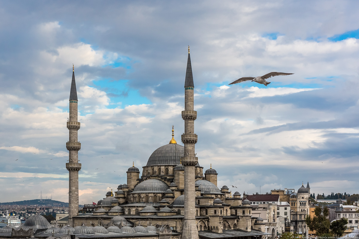 Тур в стамбул из минеральных. Стамбул здания. Мечеть Сабанчи. Прогулки по Стамбулу. Стамбул прогулка.