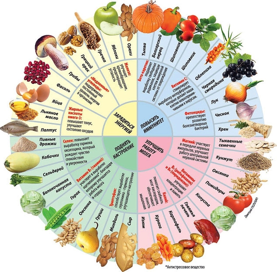 Список витаминов в организме. Таблица полезных продуктов питания. Полезные продукты таблица. Сезонное питание. Сезонные фрукты и овощи осенью.
