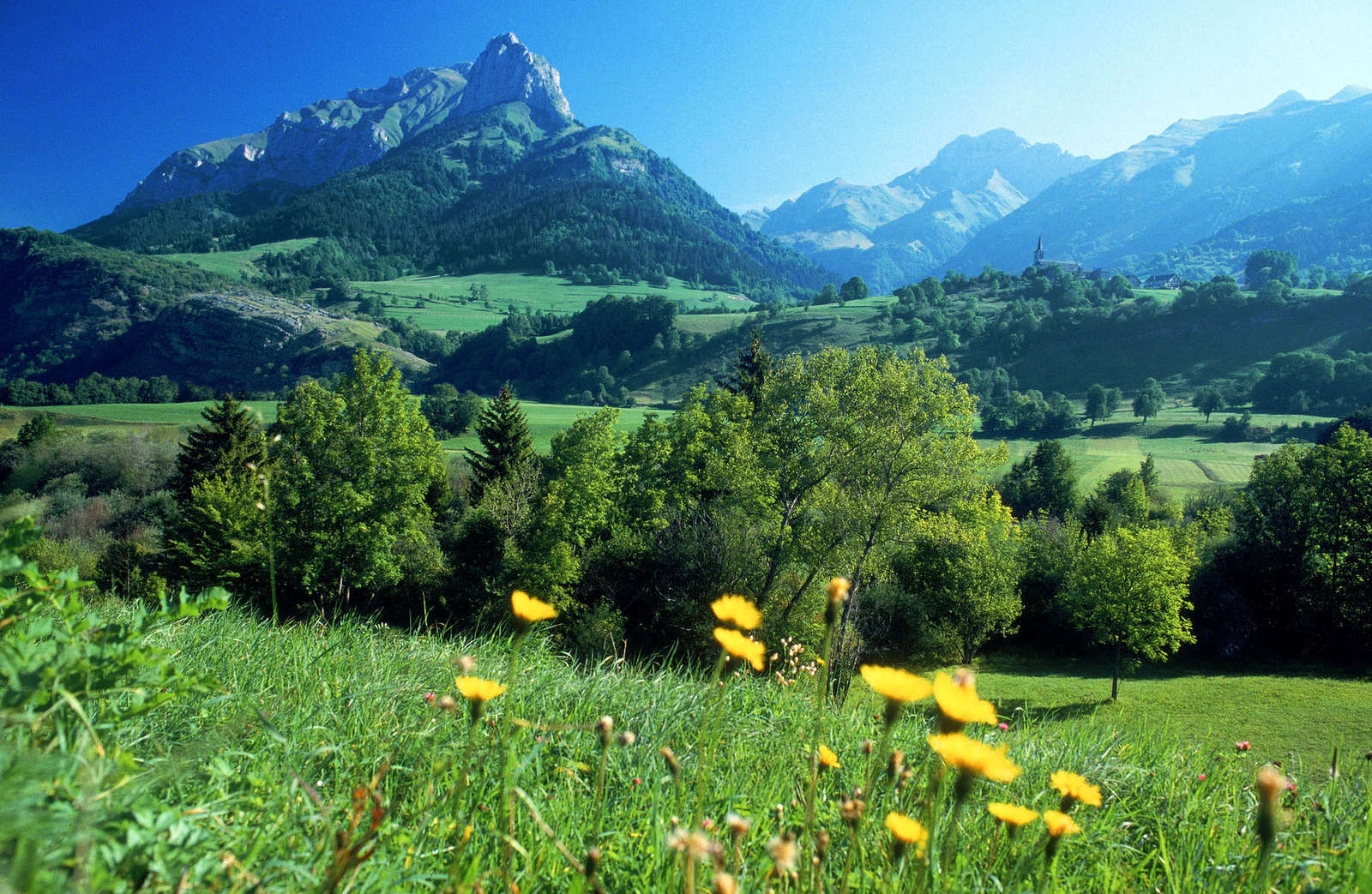 Покажи картинки лета. Альпийские Луга Франции. Альпийские Луга Хорватия. Летняя природа. Горы лето.