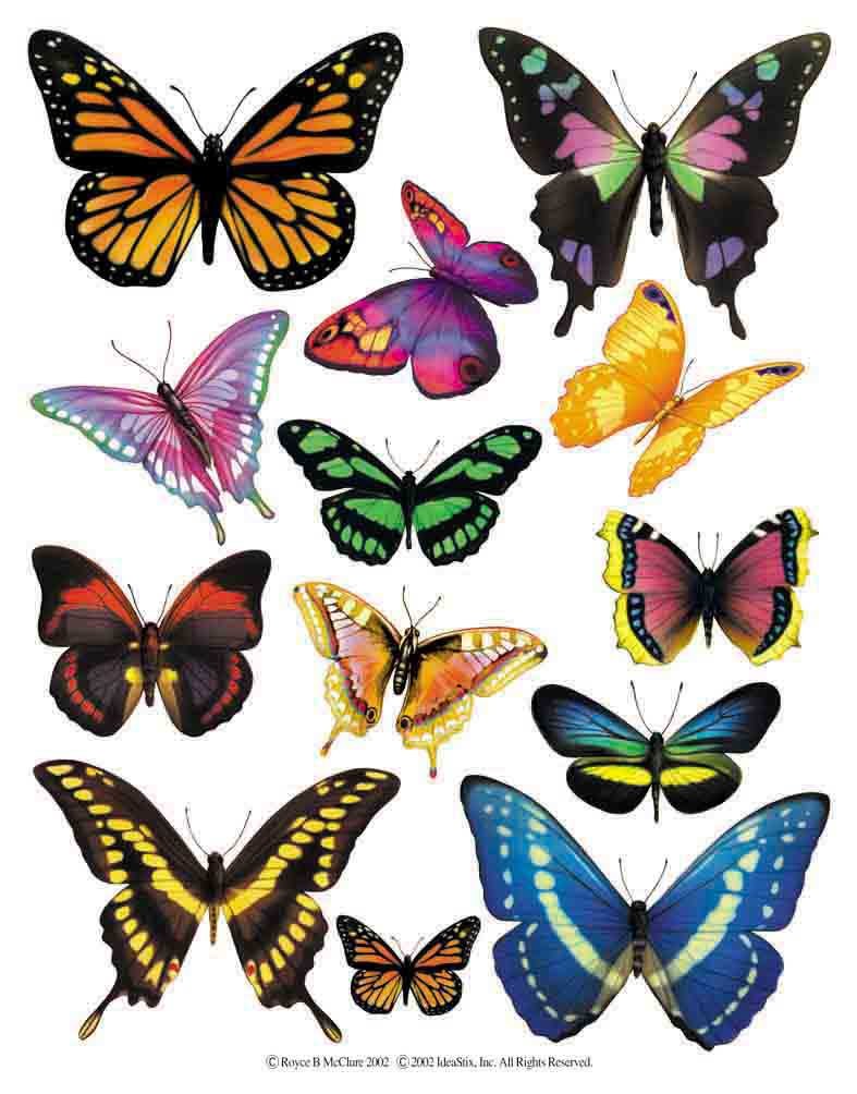 Распечатать цветной. Разноцветные бабочки. Бабочки цветные. Разноцветные бабочки для вырезания. Бабочки для вырезания цветные.