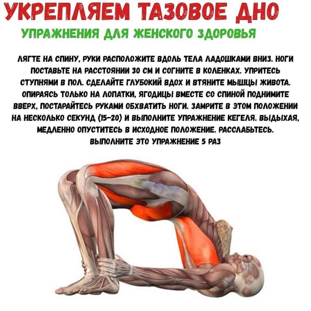 Упражнения для тазового дна для женщин. Упражнения для укрепления мышц тазового дна. Гимнастика для тренировки мышц малого таза.. Упражнения для укрепления тазовового дна. Тренировка мышц тазового дна.