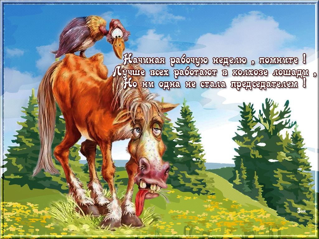 Пожелания на открытках с лошадьми. Хорошего дня лошадки. Открытки с добрым утром с лошадьми. Открытки лошади с добрыми пожеланиями. Добра коня