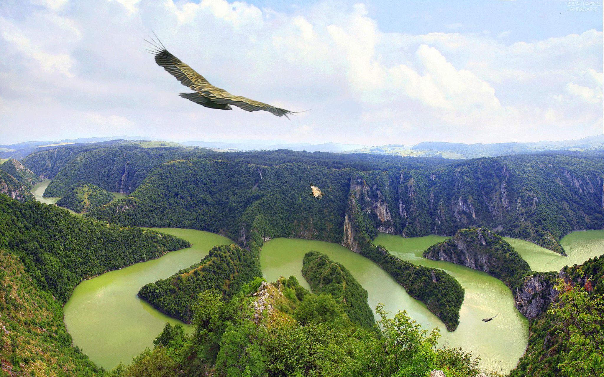 Удивительный полет. Река Увац Сербия. Каньон реки Увац. Каньон Увац Сербия. Национальный парк Увац Сербия.