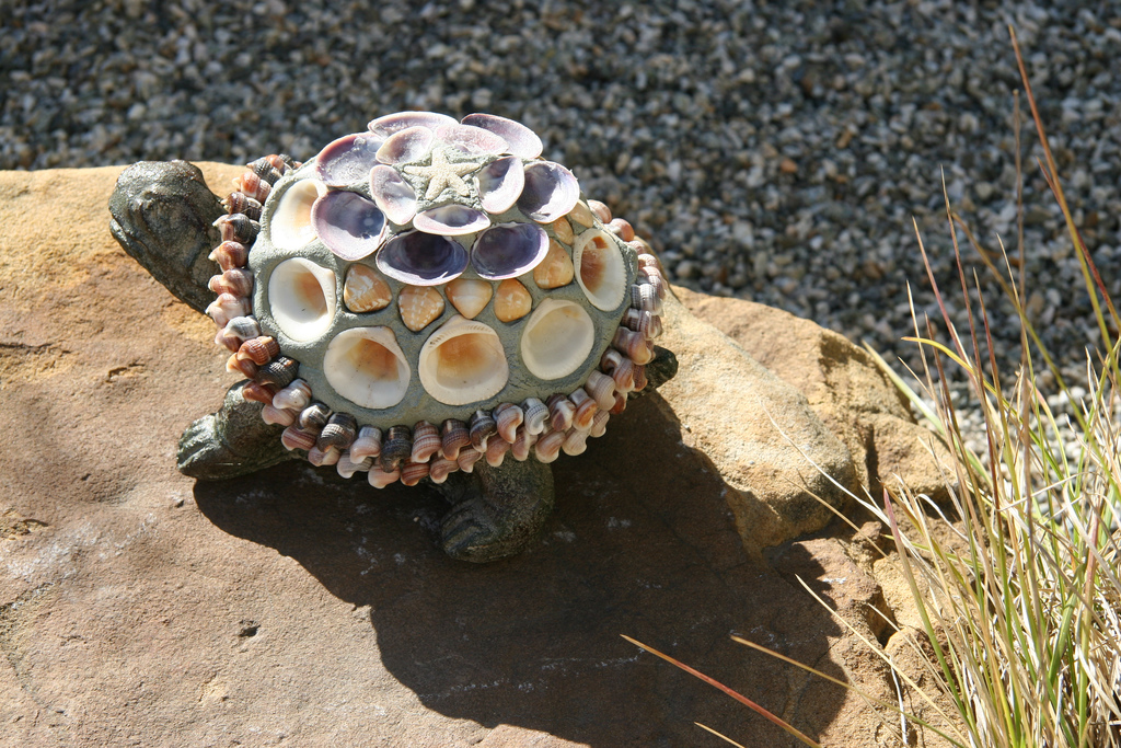 Черепаха из камней своими руками на даче фото