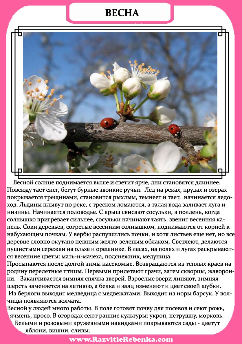 Сказки про весну читать. Рассказ о весне. Описание весны. Рассказ о весенней природе. Доклад о весне.