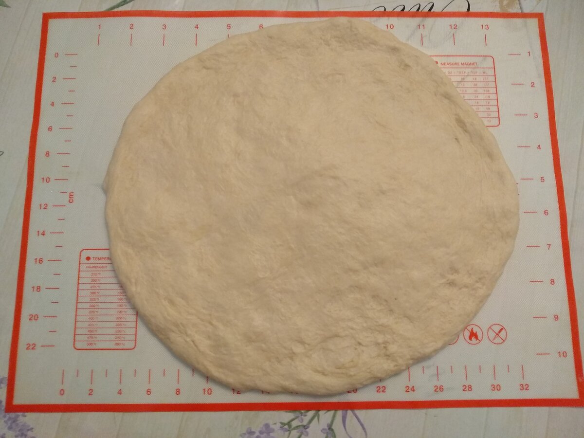 бездрожжевая тонкая пицца в духовке фото 108