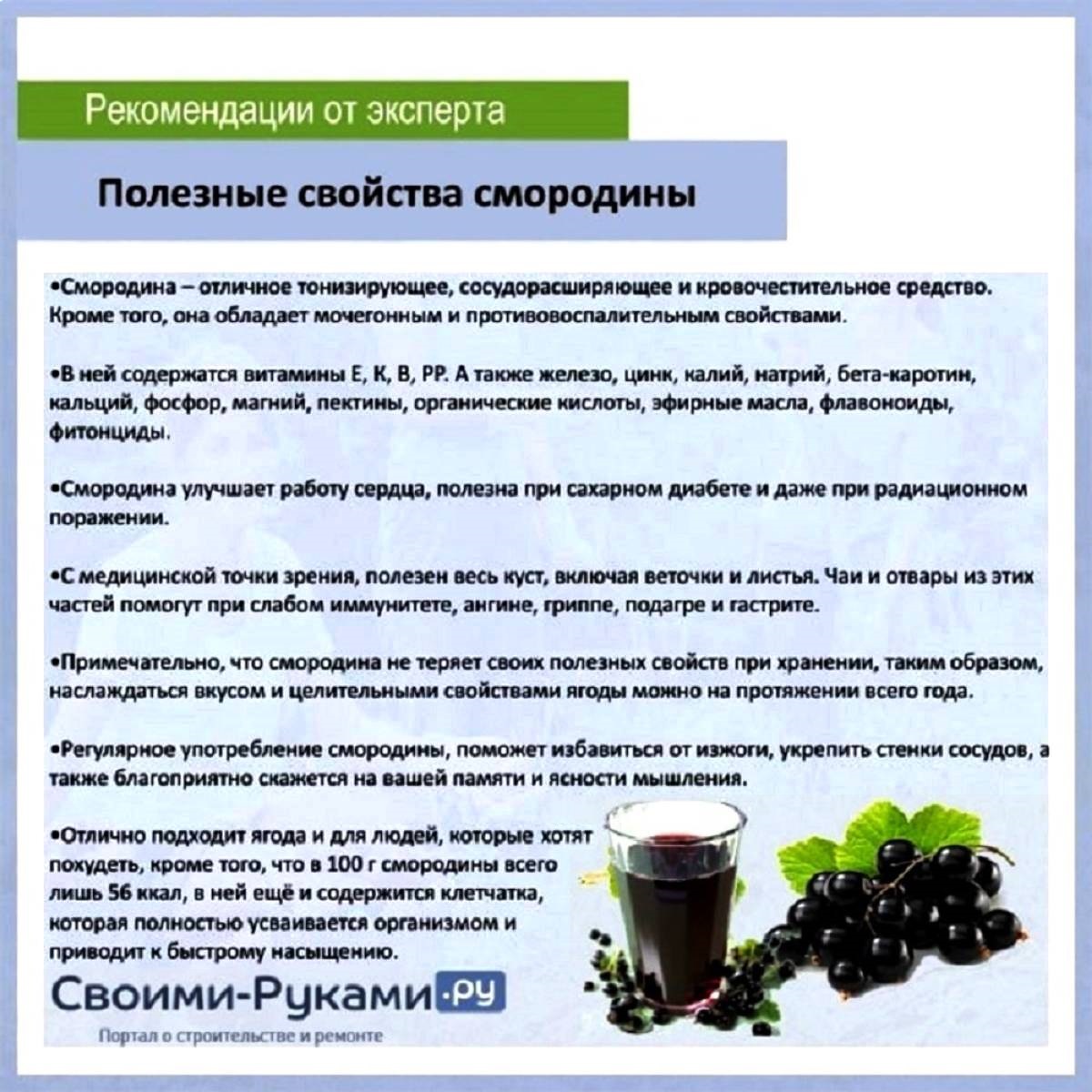 Ромашка повышает кислотность. Чёрное смородина для чего полезного и листья. XFQ BP cvjhjlbys. Полезность смородины черной. Чай с листьями смородины.