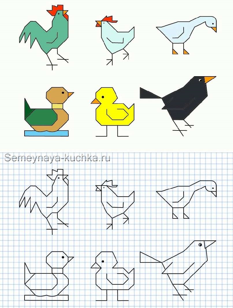 Рисование домашних птиц