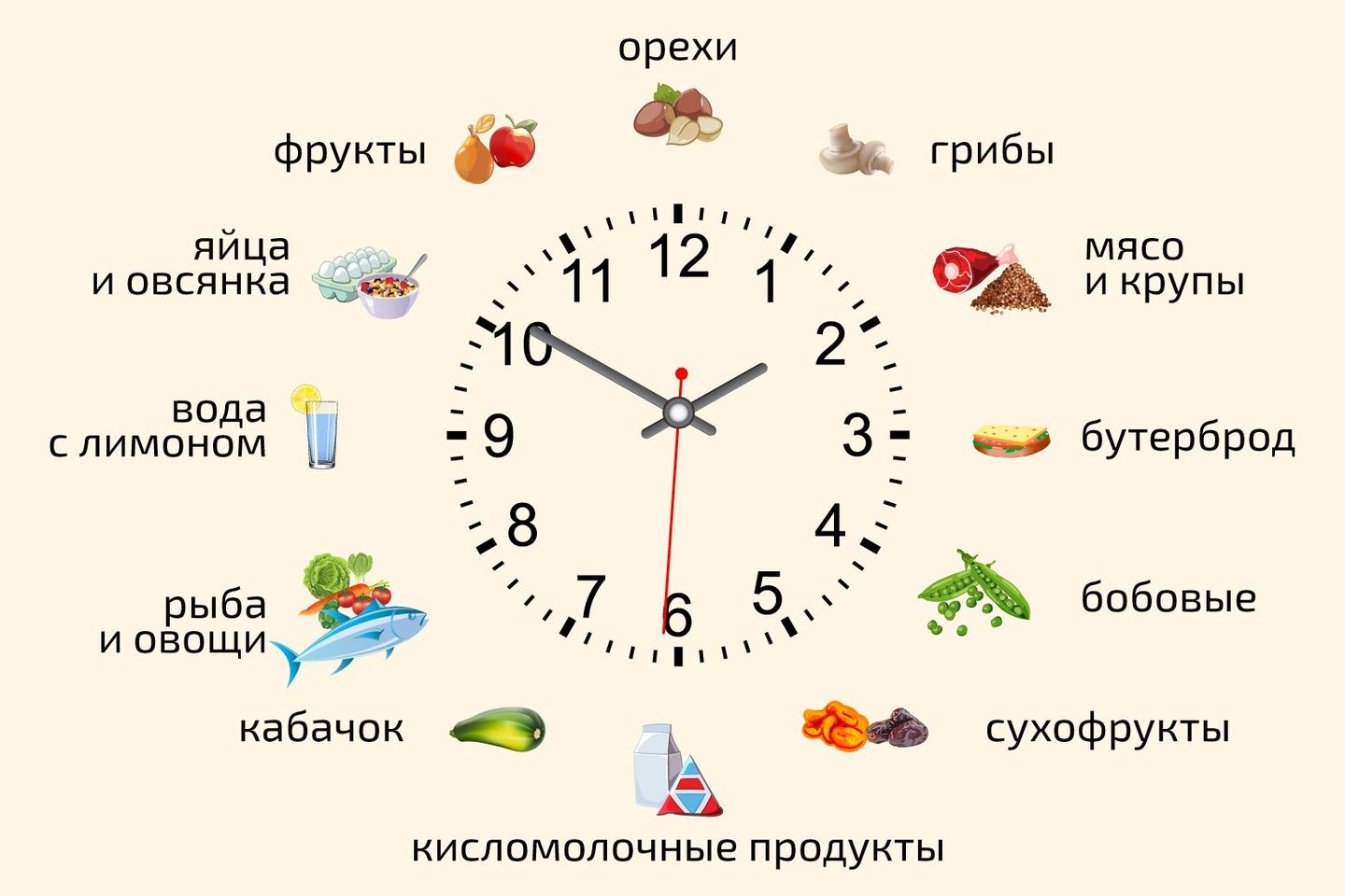 Во сколько часов можно кушать. Какие продукты в какое время есть. Какие продукты нужно есть в Разное время суток. Какие продукты есть в какое время суток. Какие продукты нужно употреблять в какое время суток.