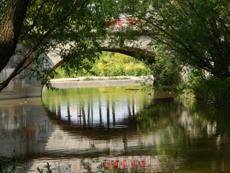 Парк полежаевский фото