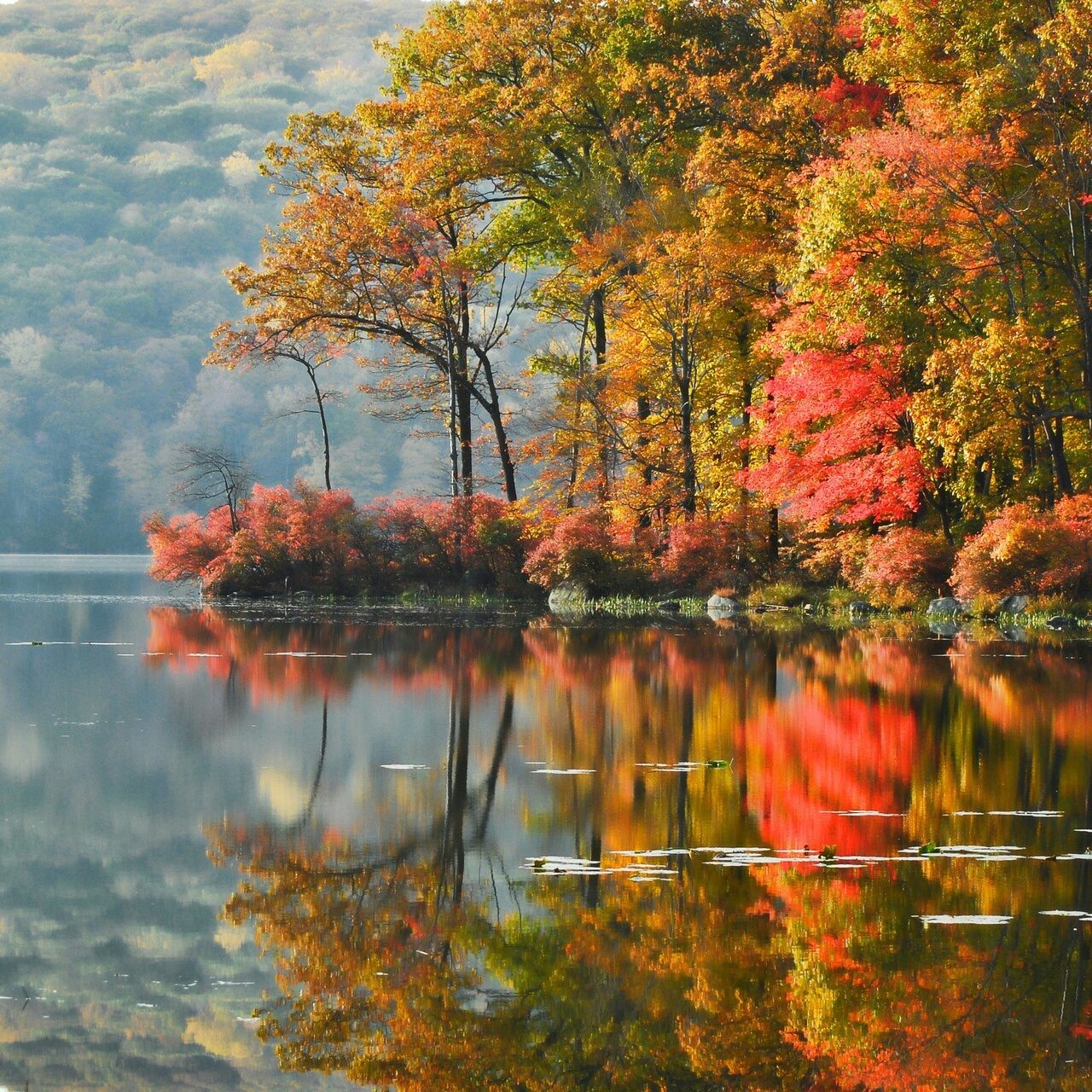 Осенний пейзаж. Красивая осень. Природа осень. Красота осени.