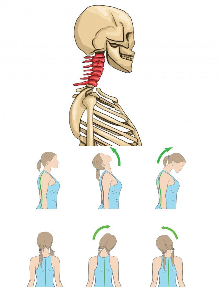 Не могу повернуть шею сильная. Защемление спины и шеи. Упражнения при защемлении шейных нервов. Защемление шейного нерва. Пережимается нерв в шее.