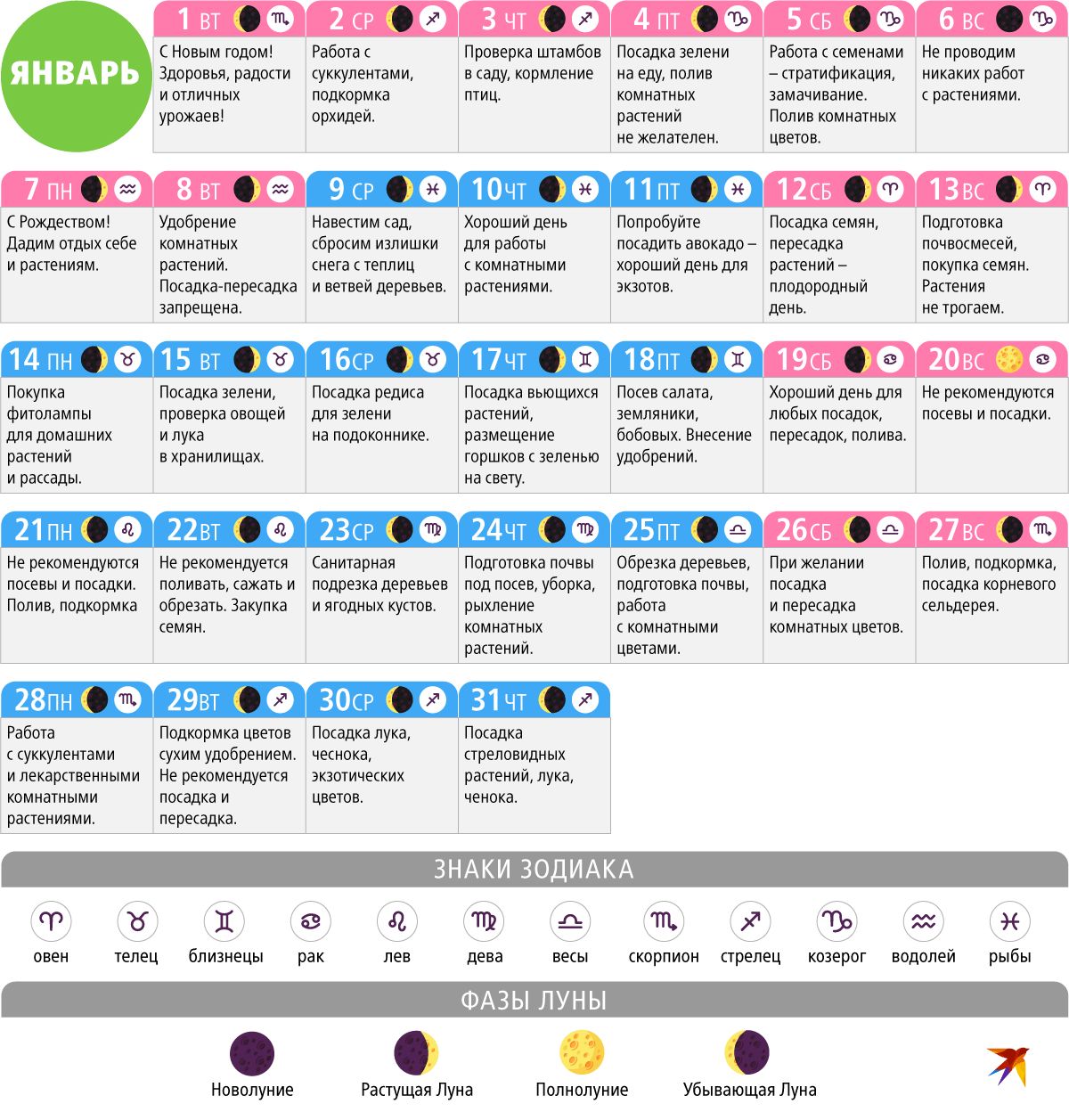 Календарь на 2024 год пересадки цветов