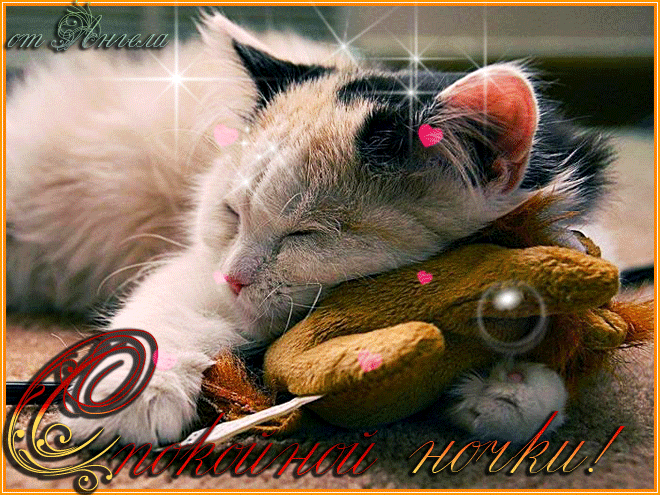 Гифки котиков спокойной ночи. Спокойной ночи сладких снов. Доброй ночи котик. Открытка сладких снов с котенком. Доброй ночи с котятами.
