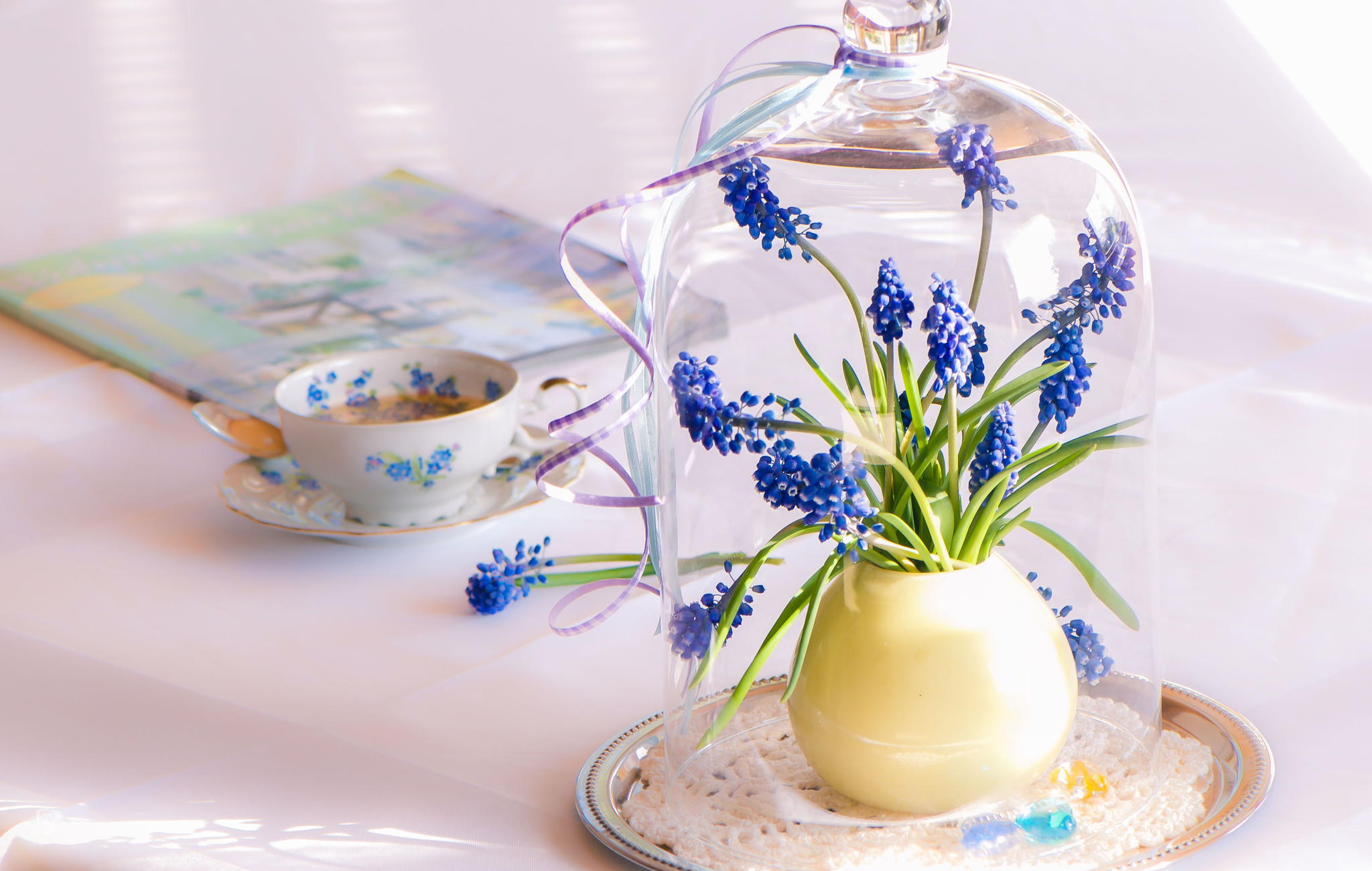 Мимозу нужно ставить в вазу с водой. Цветочки в вазочке. Цветы в прозрачной вазе. Ваза с цветами на столе. Весенние цветы в вазе.