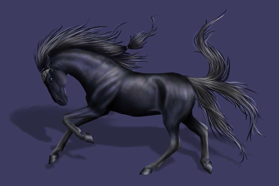 Характеристики рак лошадь. Картинка с изображением коня. Картинки лошадей фэнтези. Картинки мистика про лошадь. Изображения лошадей Графика.