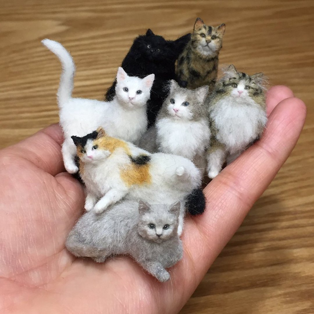 Кот живой купить. Котики из Войлока от Tomoko Masakage. Миниатюрные коты. Кошки маленькие. Миниатюрные игрушки кошка.