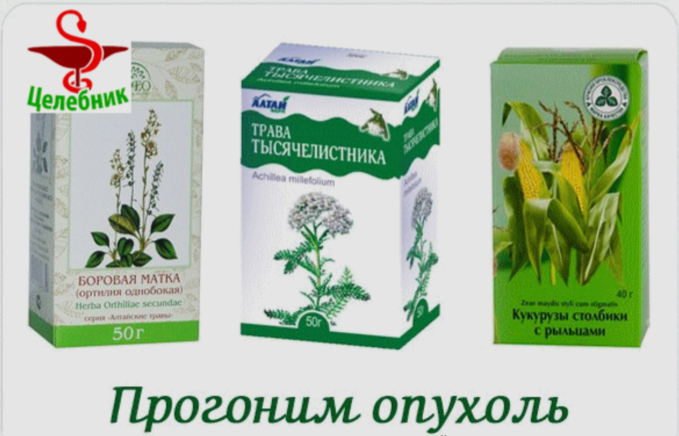 Лопух матка. Аптечные травы. Лекарственные растения в аптеке. Травы от мастопатии. Трава от мастопатии и миомы.
