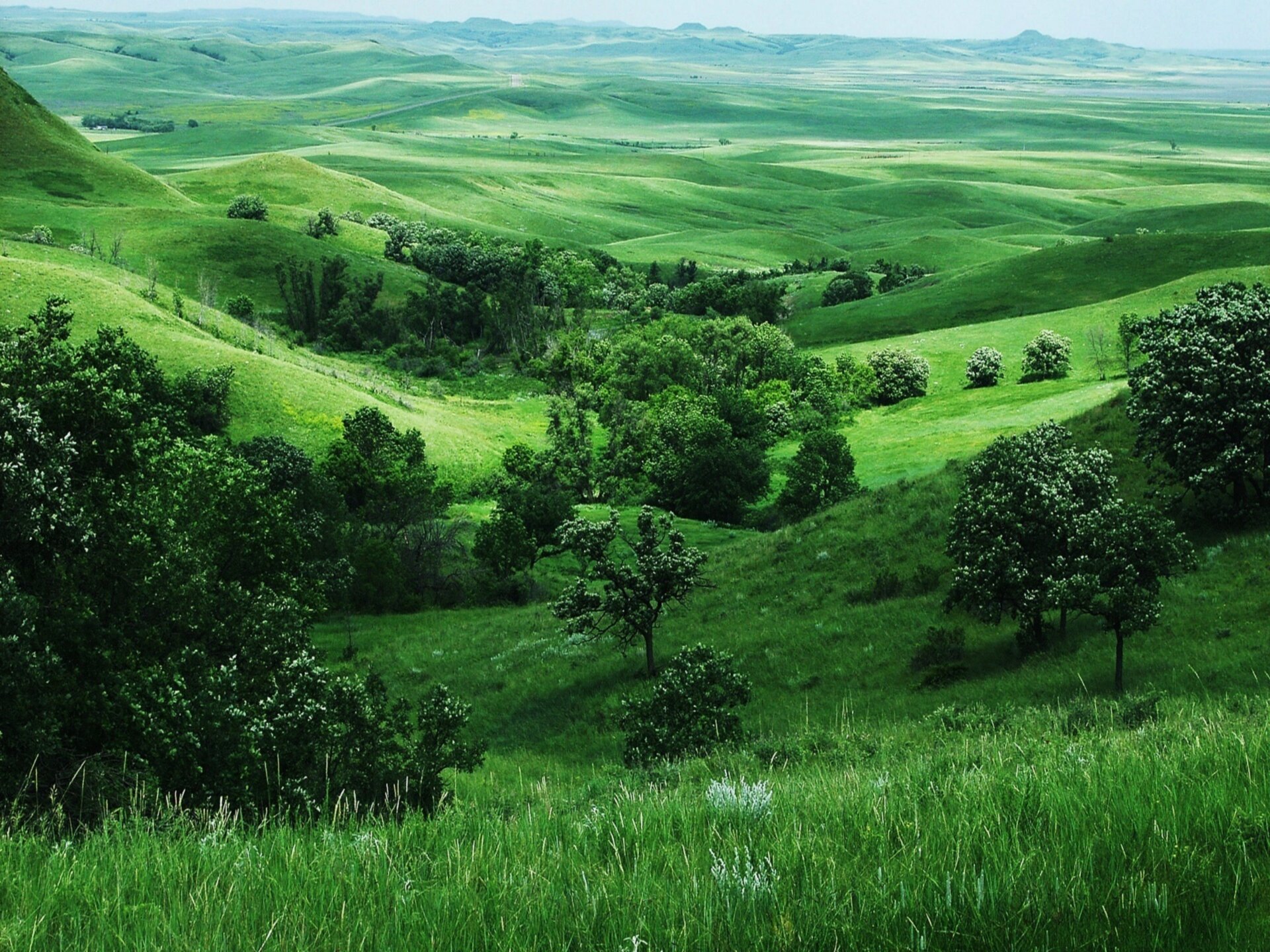 Natural pictures. Зеленые холмы Англии. Зеленые холмы Краснодарский край. Холмистая равнина Тоскана. Зеленые холмы 212525.