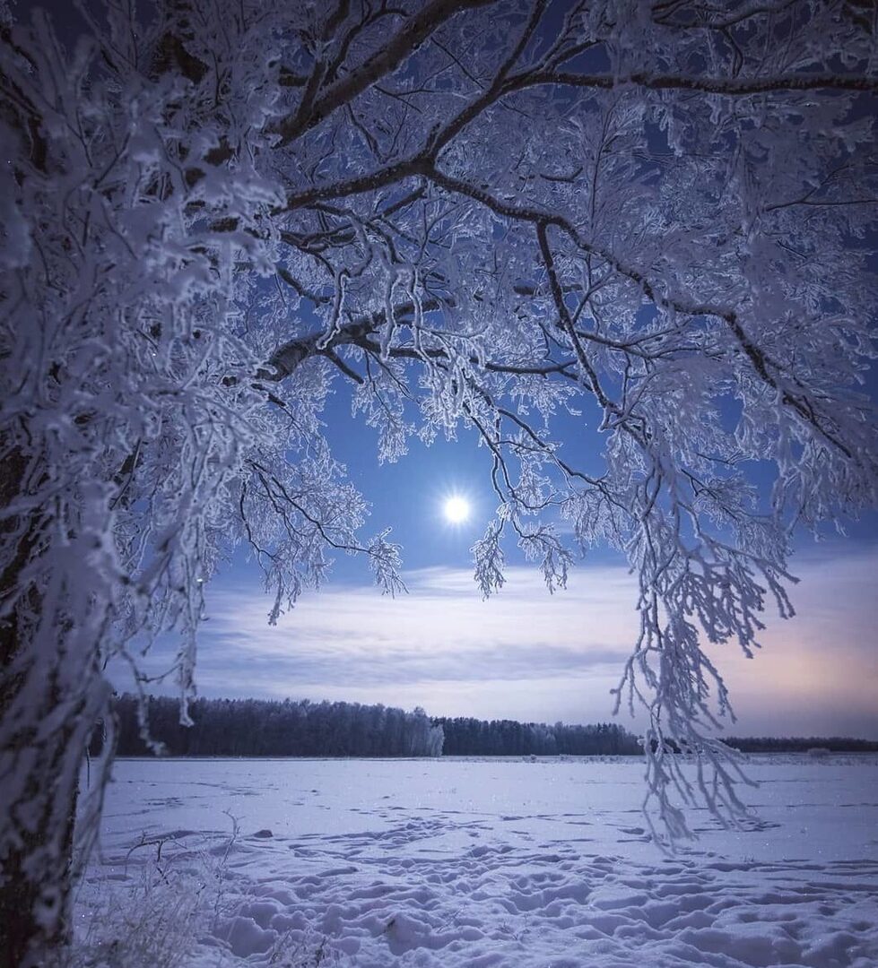 Лунная ночь зима