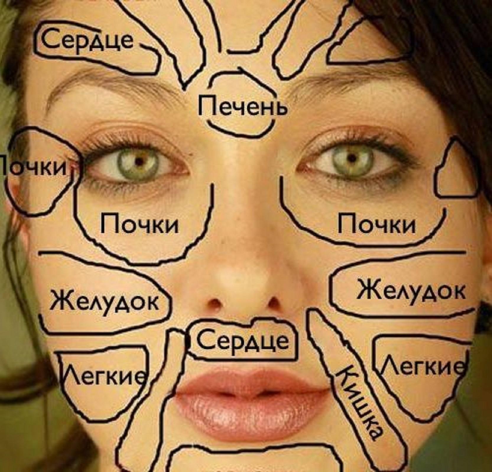 Прыщи на лбу какой орган у женщин. Карта лица. Карта прыщей на лице. Зоны лица и внутренние органы.