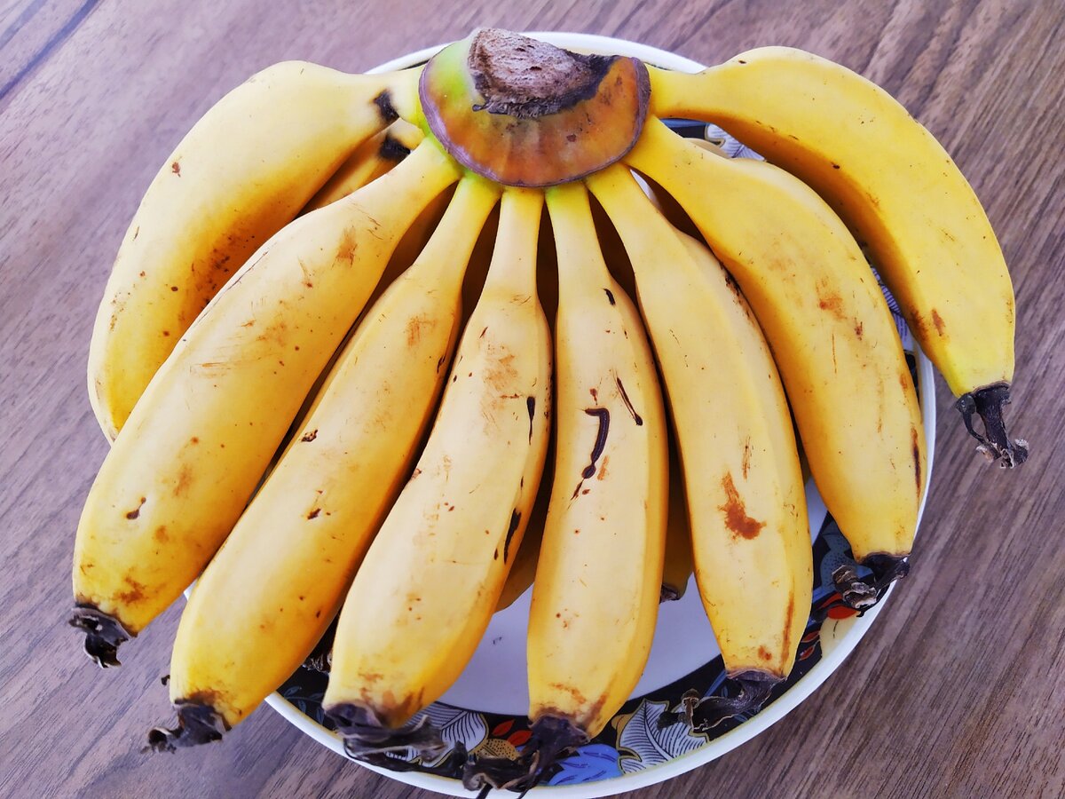 Вред бананов для мужчин. Греческий банан. Бананы аппетитно. Банан оригинальный. Бананы сорта.