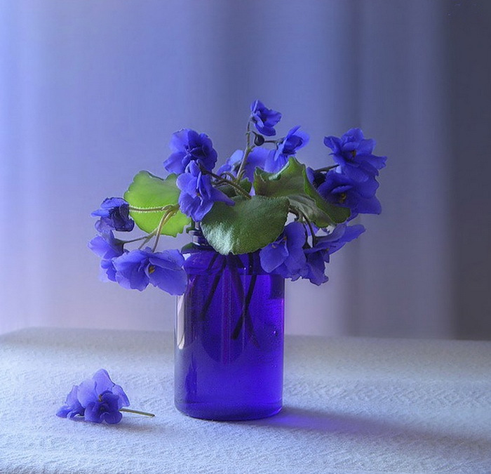 Стеклянный синий цветок. Фиалка ультрамарин. Голубые цветы в вазе. Фиалки в вазе. Синие цветы в вазах.