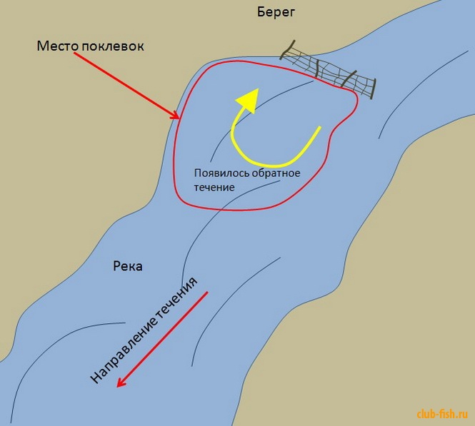 Где на косе ловить рыбу